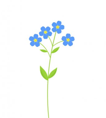 Unutma beni çiçekleri.