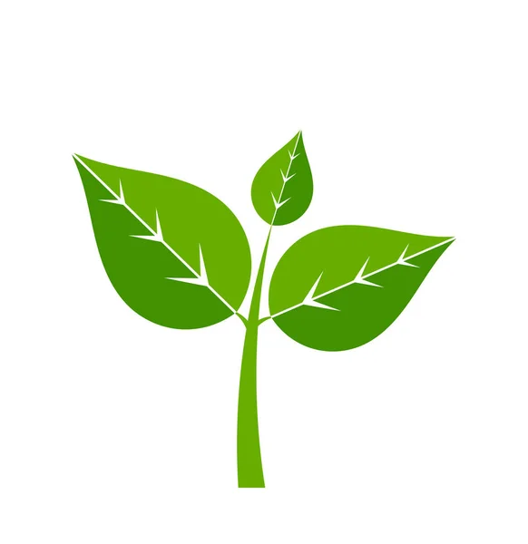 緑の植物のアイコン — ストックベクタ