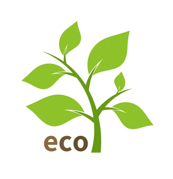Ícone de planta eco —  Vetores de Stock