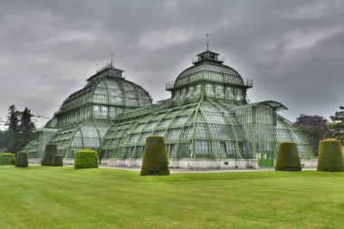 Camdan evde Shonbrunn