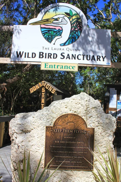 Laura Quinn Wild Kuş Sanctuary Florida Keys — Stok fotoğraf