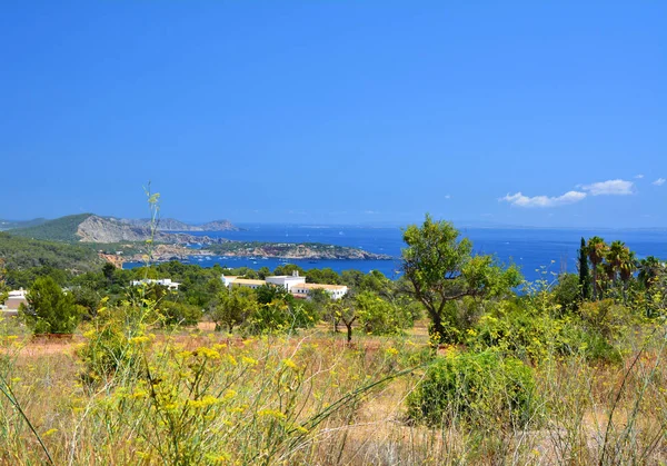 Paisaje mediterráneo de Ibiza — Foto de Stock