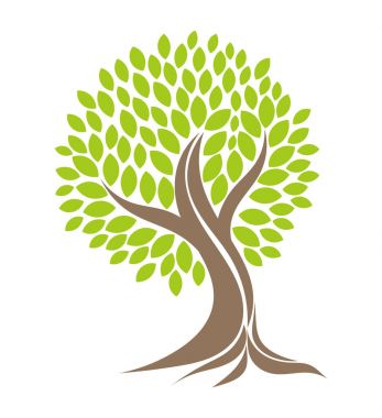 Kökleri Olan Ağaç.