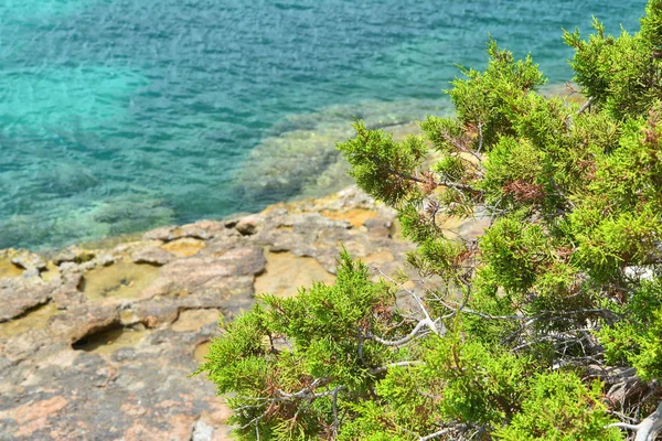 Costa rocosa de Ibiza — Foto de Stock