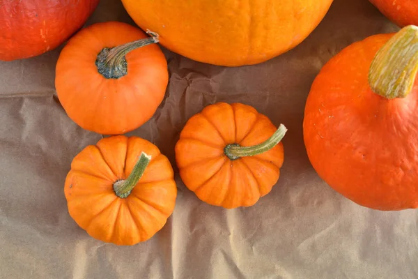 Calabazas naranja vista superior — Foto de Stock