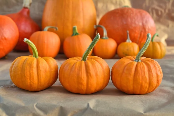 Jack be little cute pumpkins — Stock Photo, Image