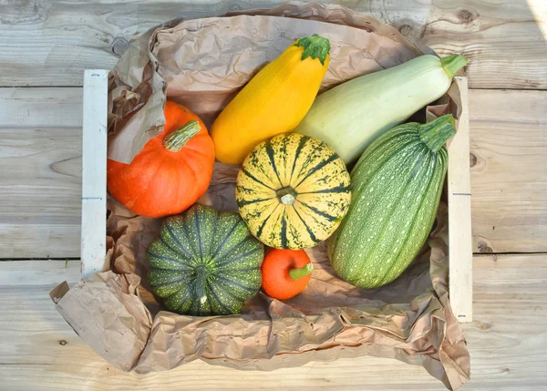 Scatola con zucche fresche e zucche — Foto Stock