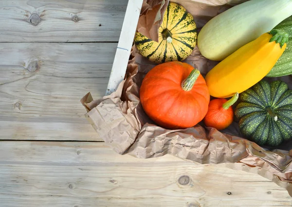 Pumpkins and squashes in the box — Stock Photo, Image