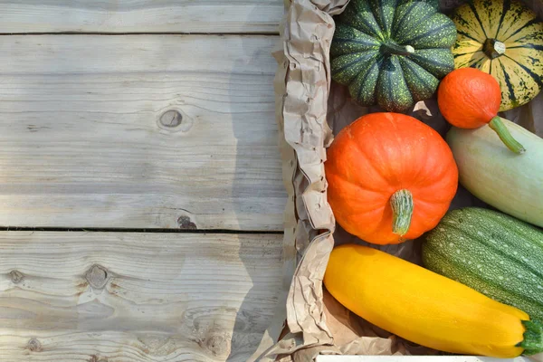 Pumpkins and squashes on wood — Stock Photo, Image