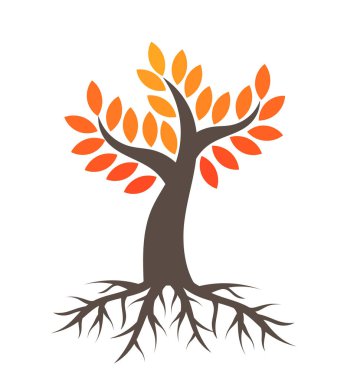 Sonbahar Ağaç kökleri ile