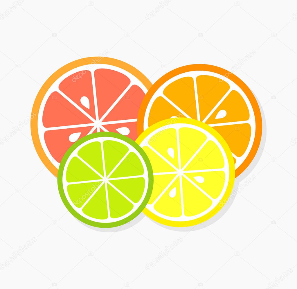 Citrus slices icon