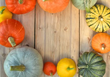 Kabaklar ve squashes çerçeve