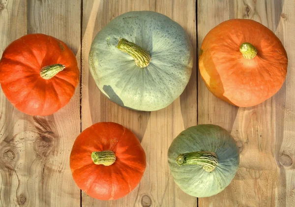 Pumpkins on wood — Stock Photo, Image