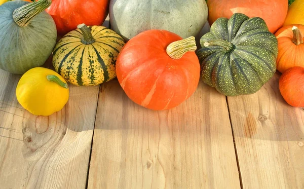 Zucche e zucche su tavole di legno — Foto Stock