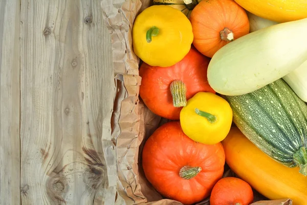 Fresh pumpkins and squash harvest — Stock Photo, Image