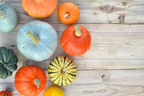 Citrouilles et courges sur des planches en bois — Photo