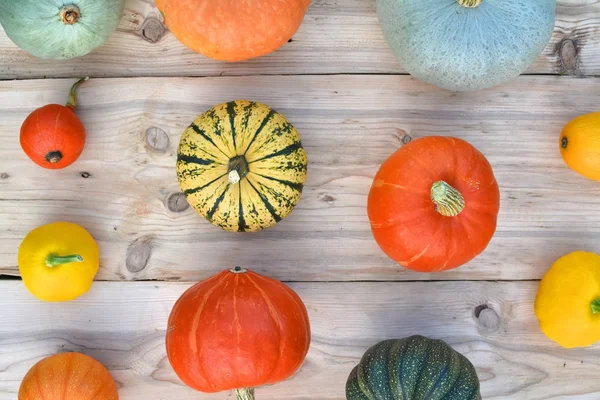 Kabaklar ve squashes ahşap tahta üzerinde — Stok fotoğraf