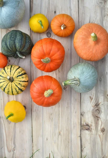 Citrouilles et courges sur planches de bois — Photo