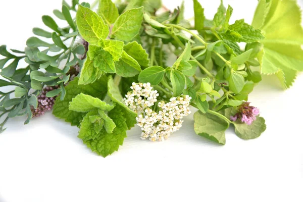 Świeże zioła na białym tle — Zdjęcie stockowe