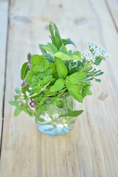 Fresh green herbs in the glass — Stock Photo, Image