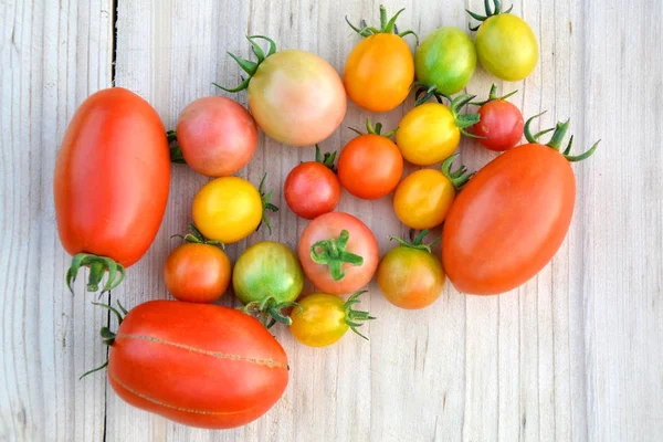 Bunte verschiedene Kirsch- und Romatomaten — Stockfoto