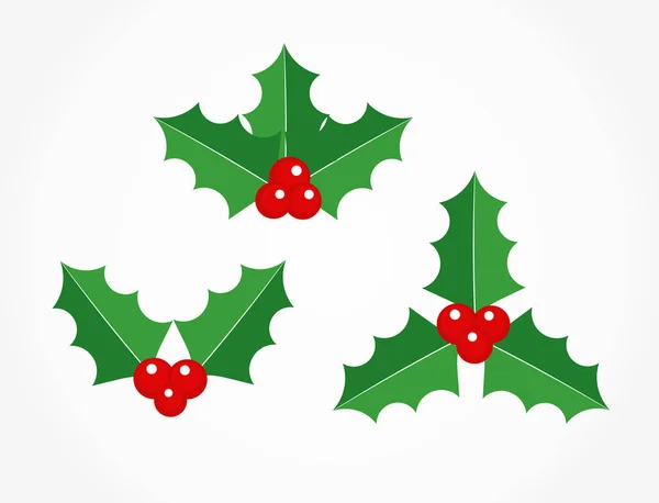 Holly berries plant icons — Stock Vector