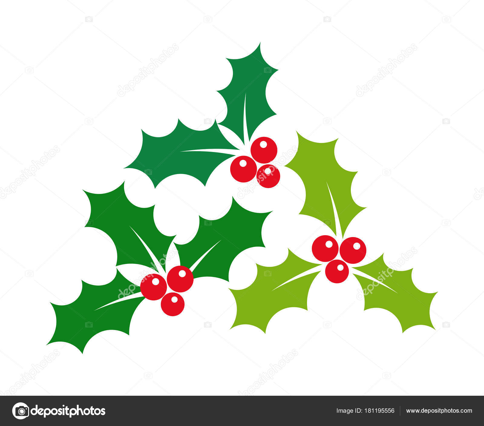 The three main Christmas symbols are mistletoe, holly and striped mint cane-shaped candy The three main Christmas symbols are mistletoe, holly and striped mint cane-shaped candy