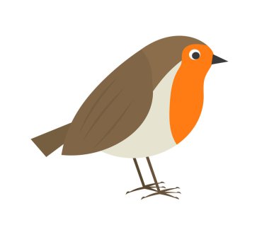 Cute robin bird. clipart