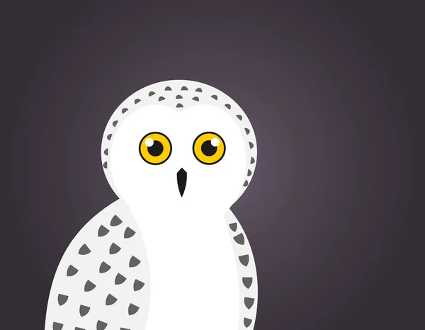 Cute white snowy owl portrait on dark night background — Stock Vector