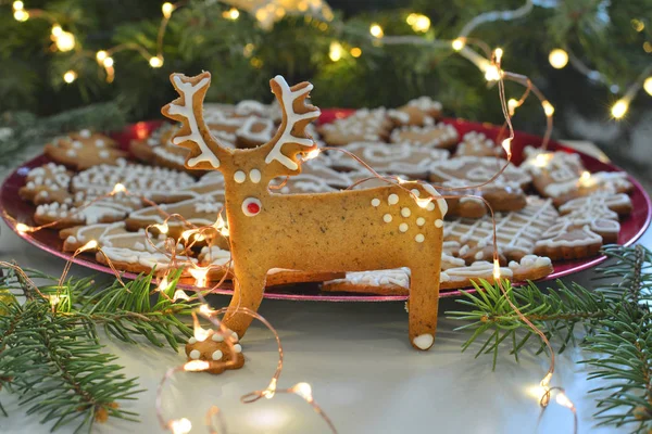 Christmas gingerbread cookie reindeer — Stock Photo, Image