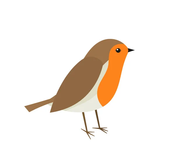 Lindo pájaro petirrojo . — Vector de stock