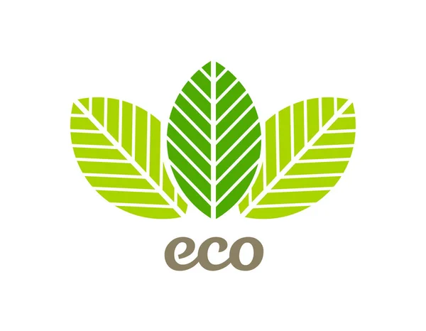 Eco Bladeren Natuurlijk Symbool Vectorillustratie — Stockvector