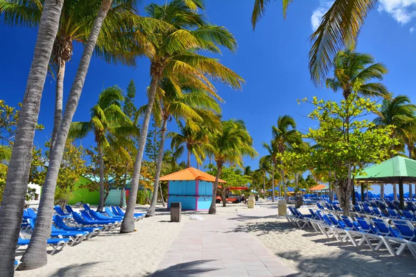 Palmbomen Blauwe Ligbedden Prachtig Strand Eleuthera Eiland Bahama — Stockfoto