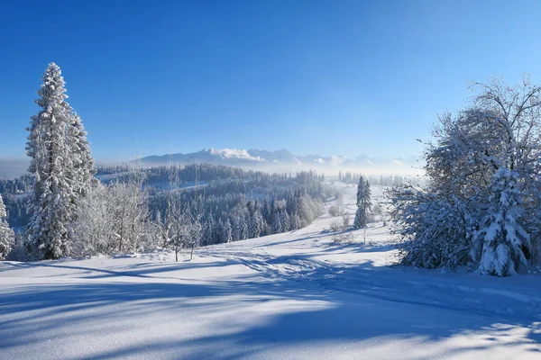 Paisaje Invernal Montañas País Las Maravillas — Foto de Stock