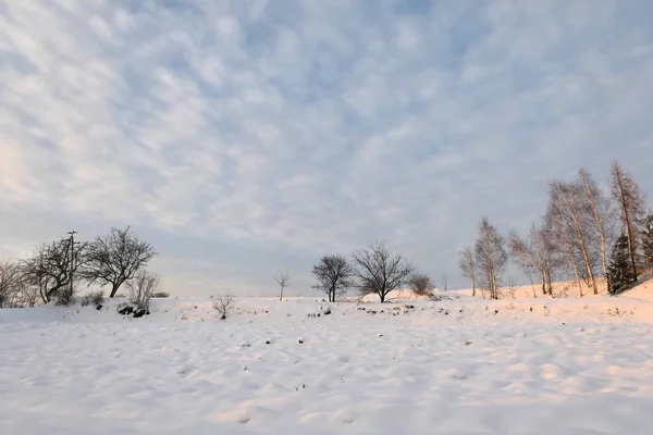 Paisaje Rural Nieve Vista Invierno — Foto de Stock