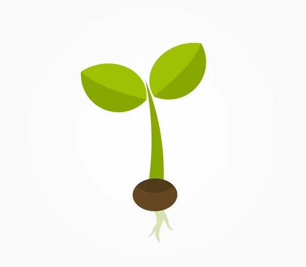 Plantez Des Semis Poussant Partir Icône Graine Illustration Vectorielle — Image vectorielle