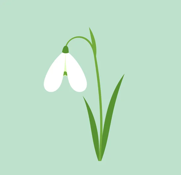 Biały Kwiat Śniegu Znak Wiosny Ilustracja Wektora — Wektor stockowy