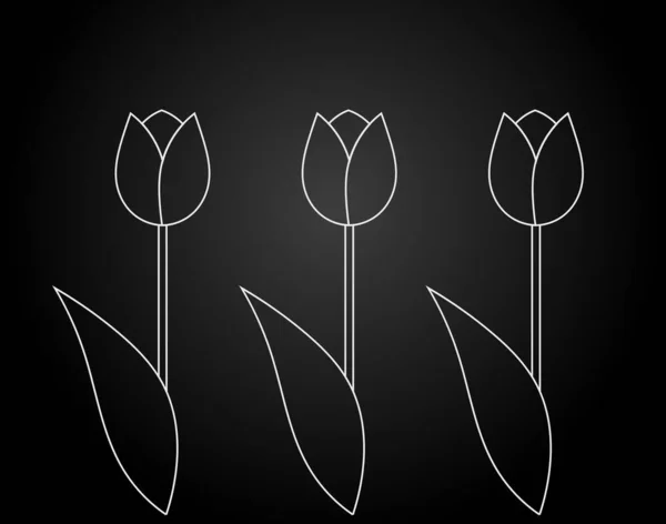黑色背景的郁金香花的白色轮廓 矢量说明 — 图库矢量图片