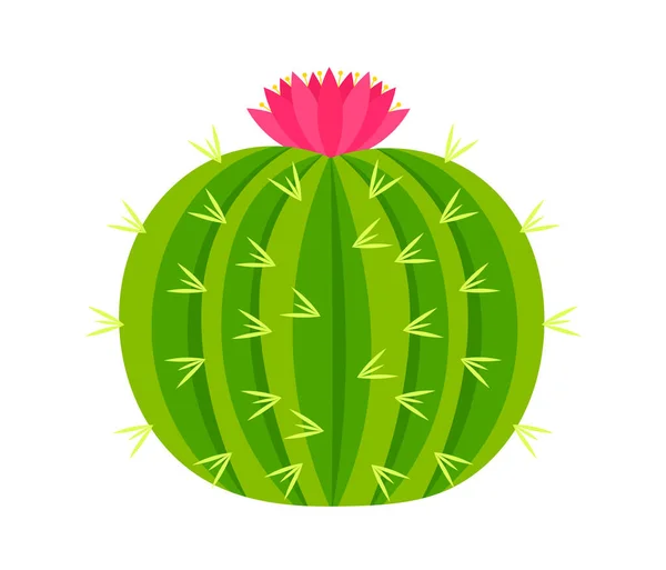 Cactus Rotondo Con Fiore Rosa Illustrazione Vettoriale — Vettoriale Stock