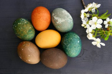 Doğal olarak boyanmış Paskalya yumurtaları ve kiraz çiçekleri ahşap arka planda.