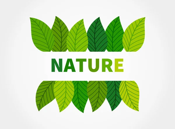 Naturens Lövgräns Vektorillustration — Stock vektor
