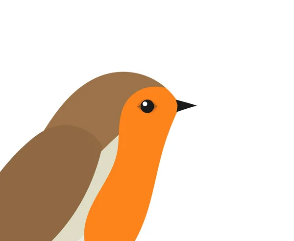 Robin Retrato Pájaro Ilustración Vectorial — Vector de stock