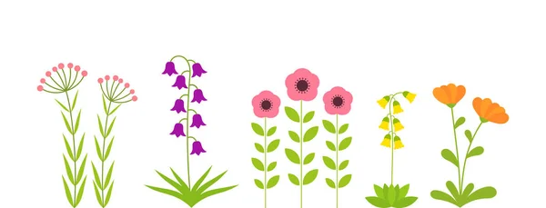 Voorjaarsbloemen Planten Ingesteld Vectorillustratie — Stockvector