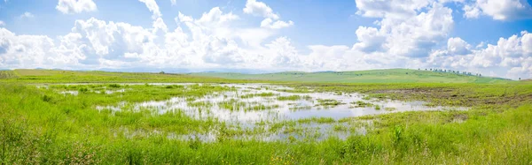 Terreno agrícola inundado — Foto de Stock