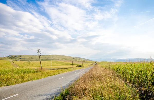 Rural road with farm land and fields — Stock Photo, Image