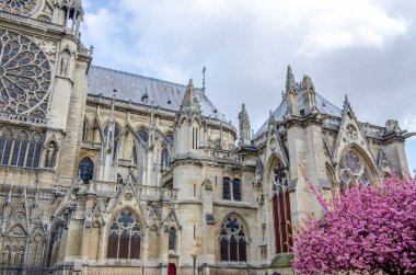 Notre Dame de Paris southern facade