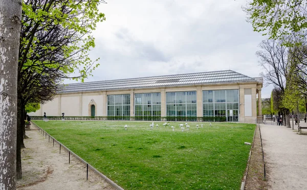 La Musa de l 'Orangerie (Museo de la Orangnería) en los Jardines de las Tullerías de París — Foto de Stock