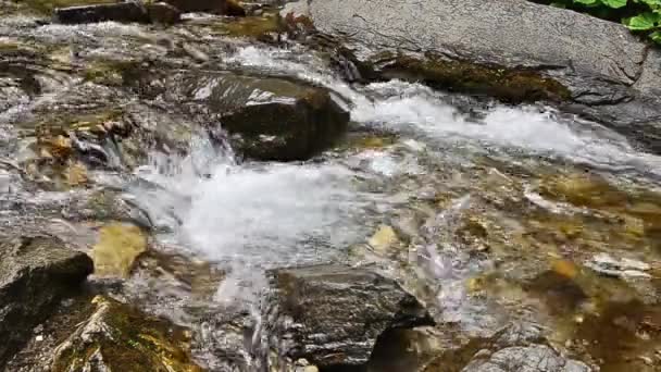 Wasser Fließt Einem Bach Aus Nächster Nähe Über Die Felsen — Stockvideo