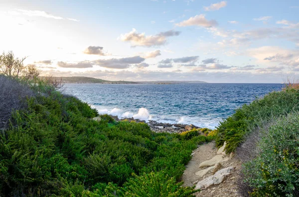 Vista Para Mar Mediterrâneo Formar Costa Ilha Malta Com Vegetação Imagens Royalty-Free