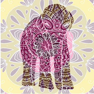 mockup tasarım için